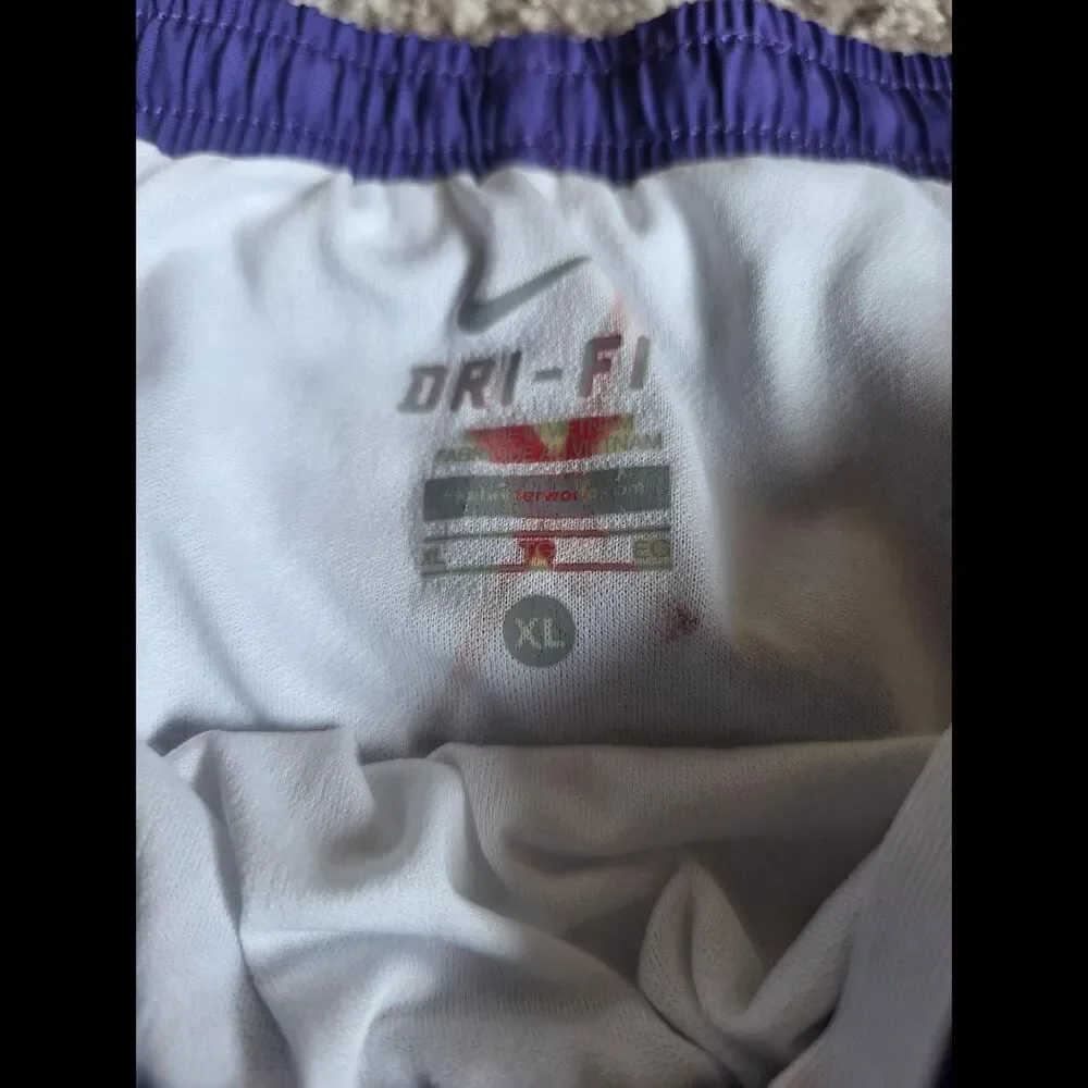 Nike Dri-FIT Womens XL Purple Running Shorts White Panel Athletic